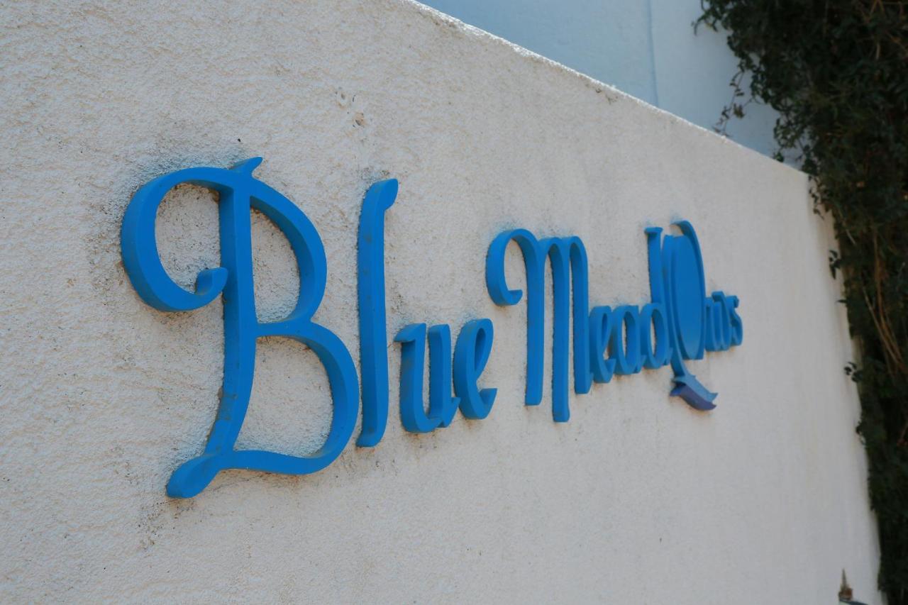 Hotel Blue Meadows Nuwaraeliya Nuwara Eliya Exteriér fotografie
